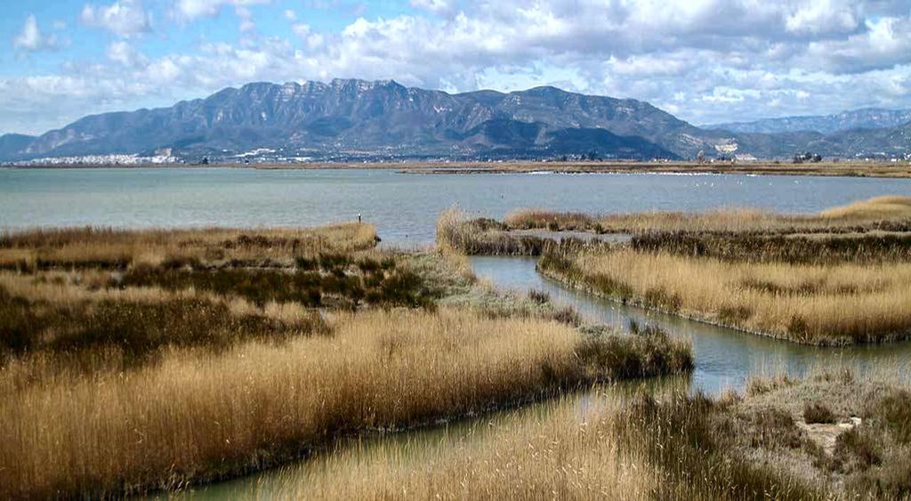 شقة Mi Apartamento En El Delta Del Ebro ديلتيبري المظهر الخارجي الصورة