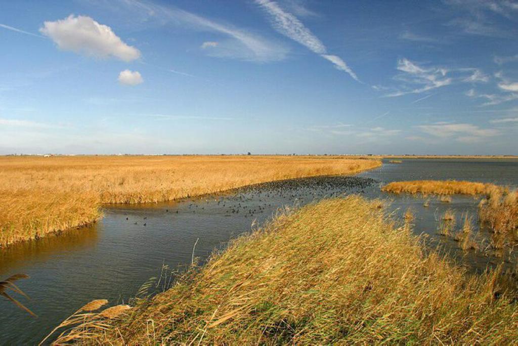 شقة Mi Apartamento En El Delta Del Ebro ديلتيبري المظهر الخارجي الصورة