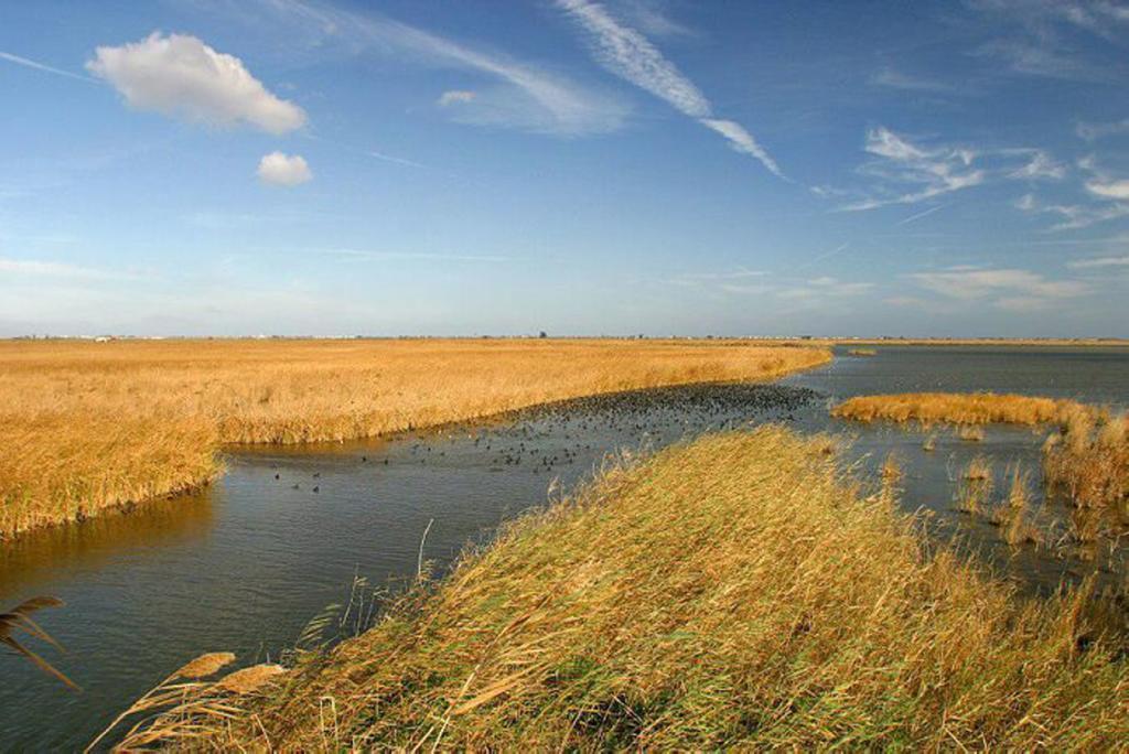 Mi Apartamento En El Delta Del Ebro ديلتيبري المظهر الخارجي الصورة