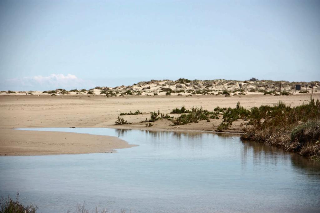 شقة Mi Apartamento En El Delta Del Ebro ديلتيبري المظهر الخارجي الصورة