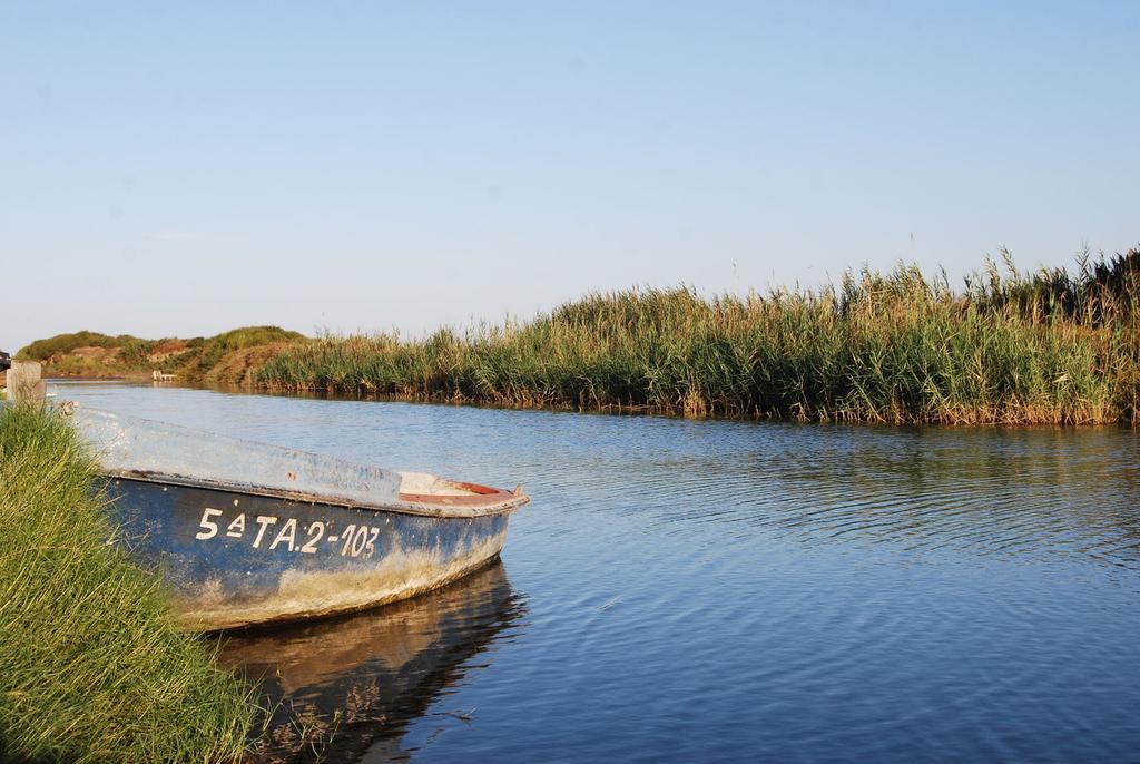 Mi Apartamento En El Delta Del Ebro ديلتيبري المظهر الخارجي الصورة