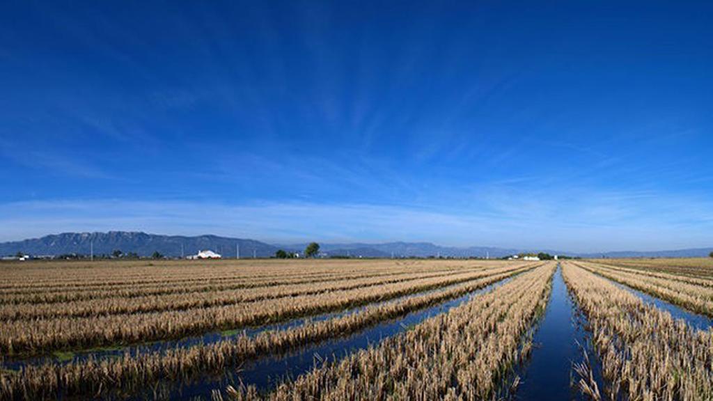 شقة Mi Apartamento En El Delta Del Ebro ديلتيبري المظهر الخارجي الصورة