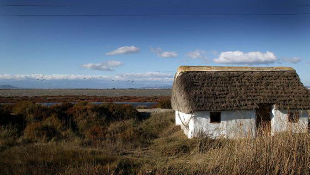 Mi Apartamento En El Delta Del Ebro ديلتيبري المظهر الخارجي الصورة