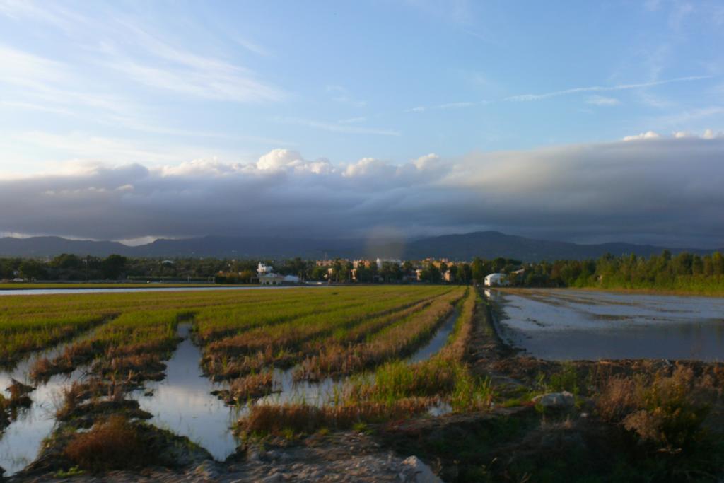 شقة Mi Apartamento En El Delta Del Ebro ديلتيبري المظهر الخارجي الصورة